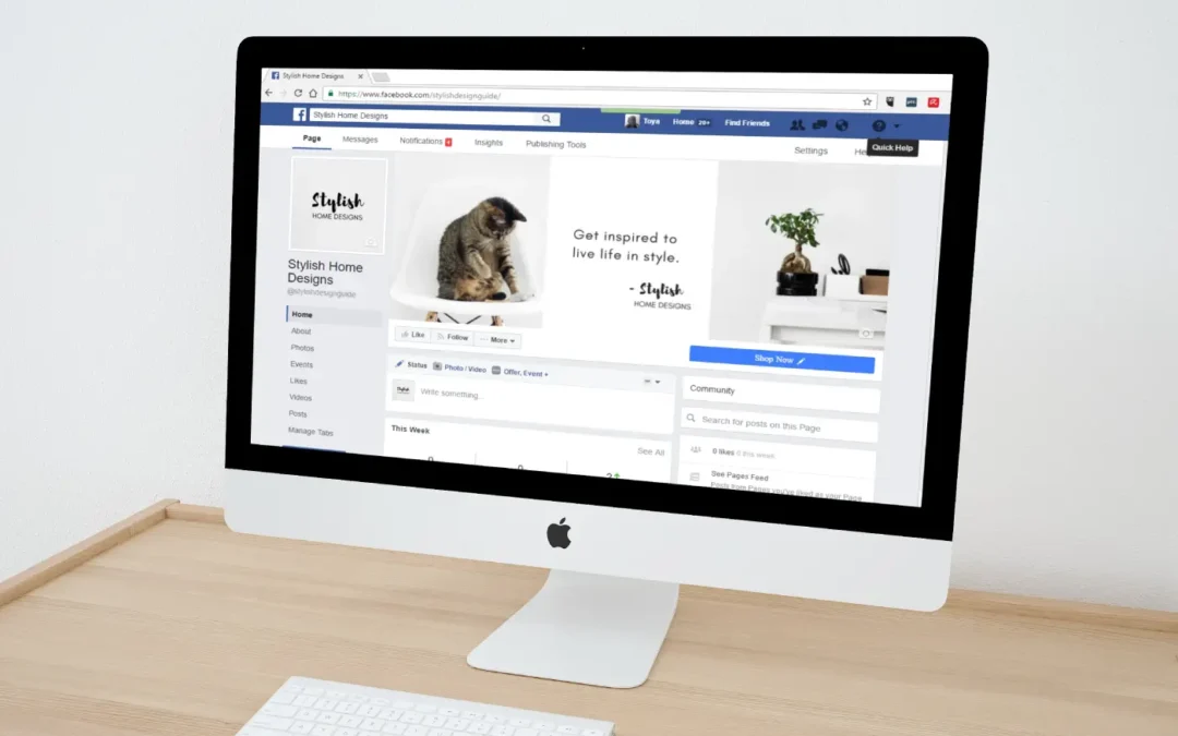 Phishing & Spear Phishing (Targeted Deception)